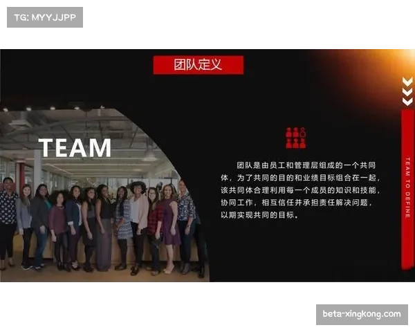 阵容搭配协同性关键 技术互补性提升战术执行力